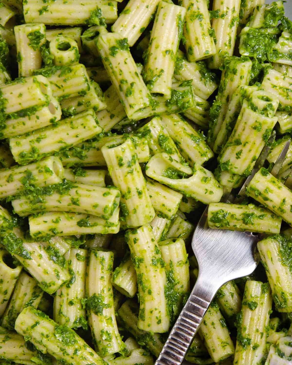 Close up of pasta covered in green pasta sauce.