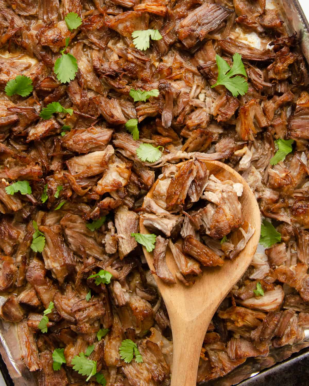 A baking sheet with crispy carnitas, garnished with cilantro. 