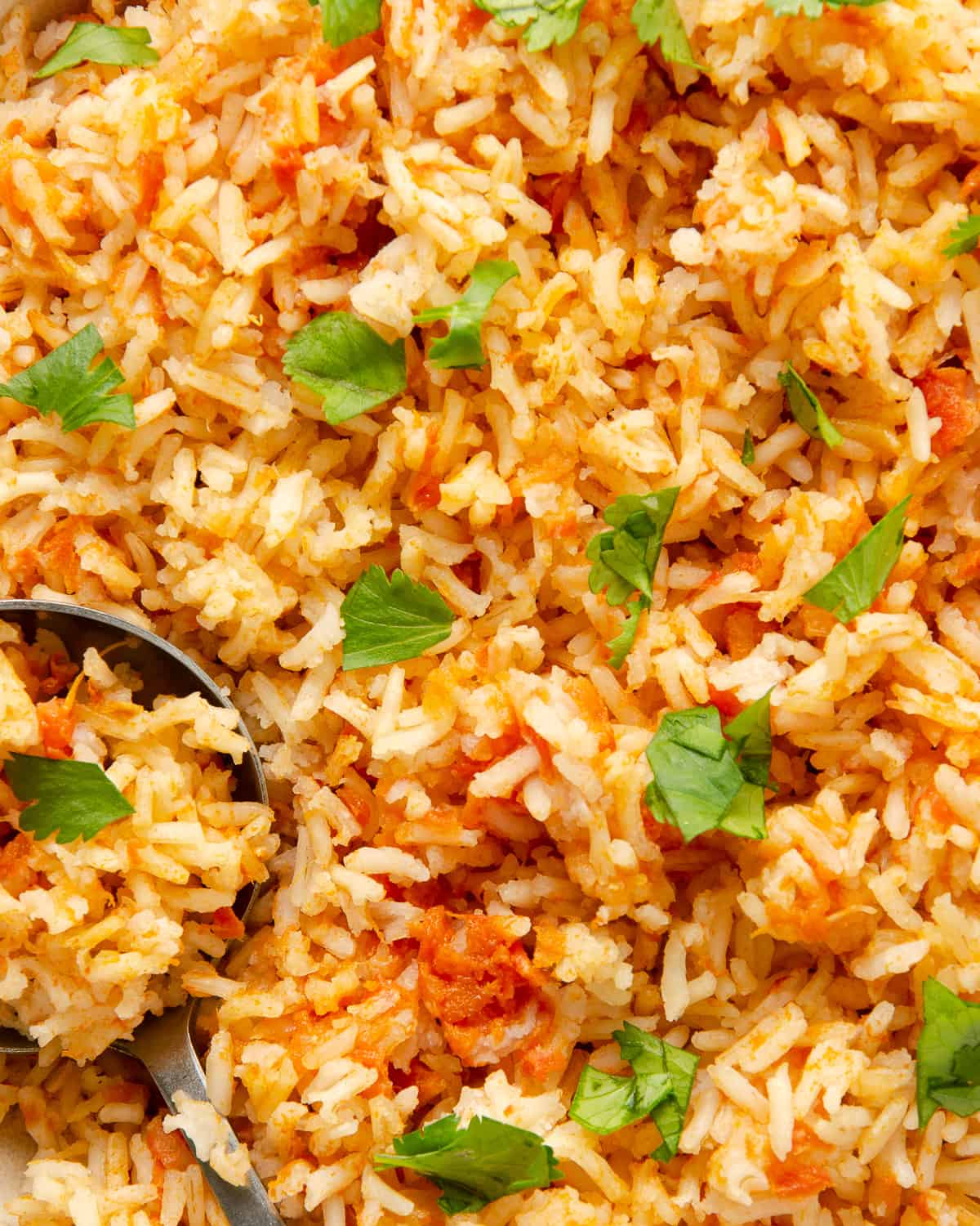 Up close shot of cooked Mexican rice with cilantro.