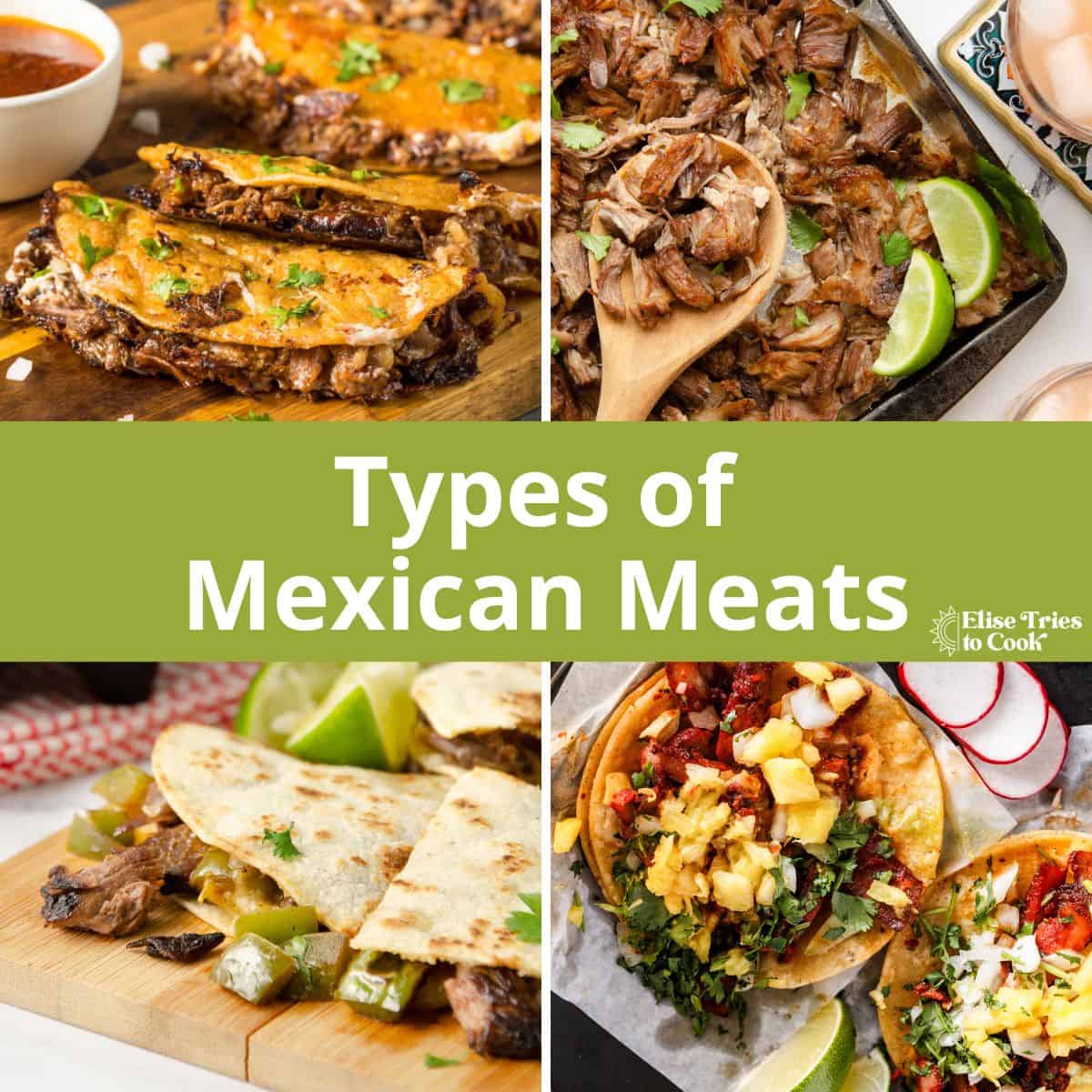 Types of Mexican Meats outlined with four images of different types of Mexican meats.